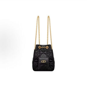 DIOR Caro Multicarry